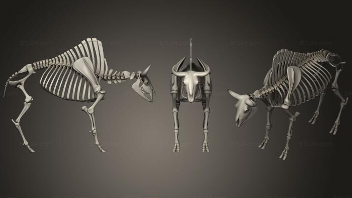 Anatomy of skeletons and skulls (Bison Skeleton, ANTM_0274) 3D models for cnc